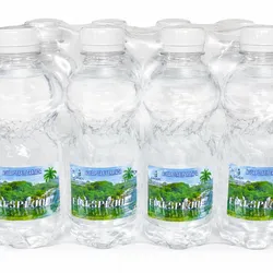 Agua El Espejo 330 ml Caja 