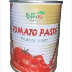 Pasta de Tomate Bibo 