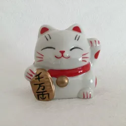 🐈‍⬛GATICOS DE LA SUERTE CHIQUITOS🐈