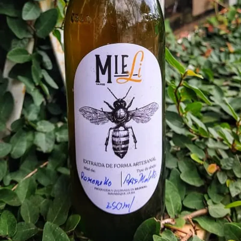 Miel 🍯 ORGANICA 🐝