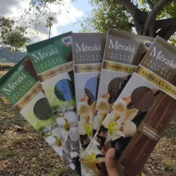 🪔𝙿𝚊𝚌𝚔 𝙶𝚛𝚊𝚗𝚍𝚎 𝚍𝚎 𝟼𝟶 𝚒𝚗𝚌𝚒𝚎𝚗𝚜𝚘𝚜 𝚢 𝙿𝚘𝚛𝚝𝚊𝚒𝚗𝚌𝚒𝚎𝚗𝚜𝚘🪔