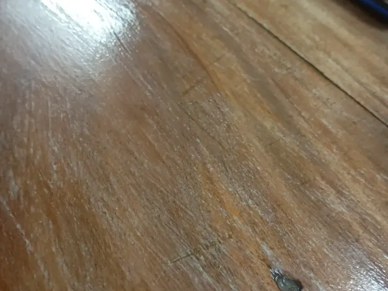 Bebidas 