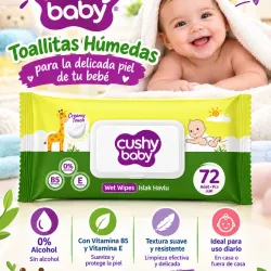 Toallitas humedas 72 unidades