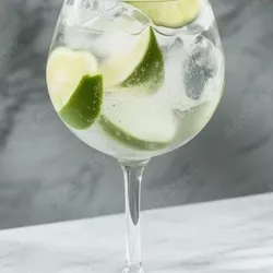 Gin Tonic