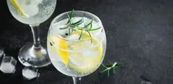 Cóctel Gin Tonic Beefeater