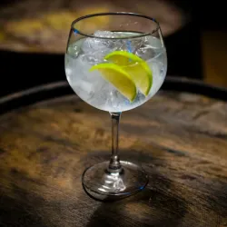 Cóctel Gin Tonic 
