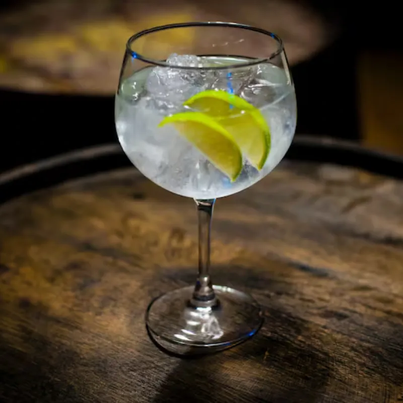 Cóctel Gin Tonic 