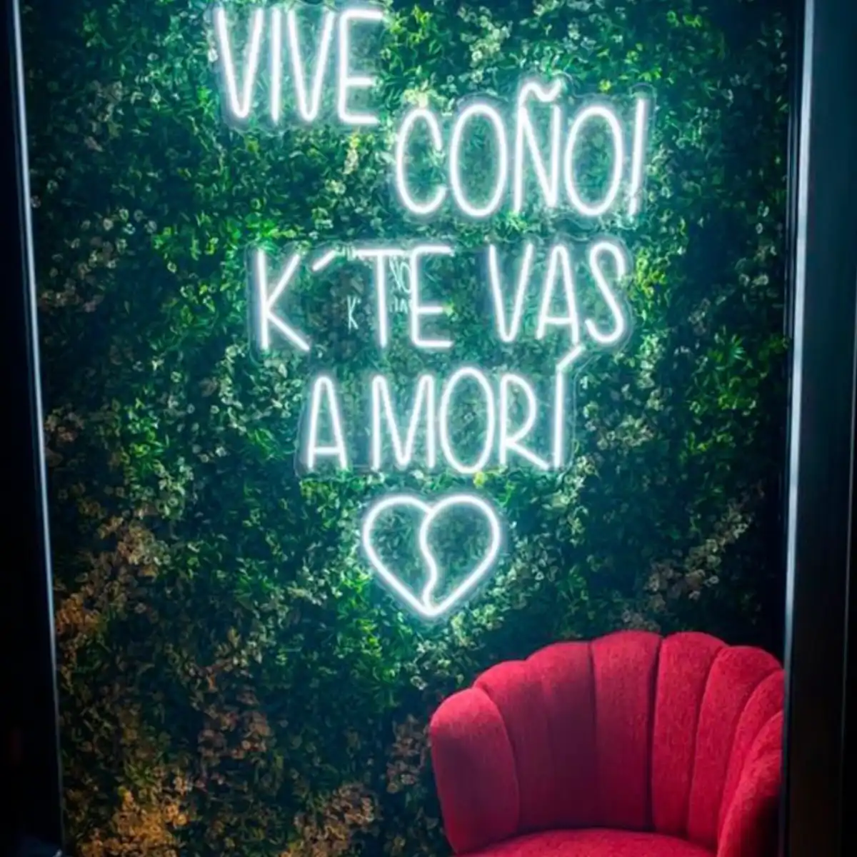 Bar Insomnio