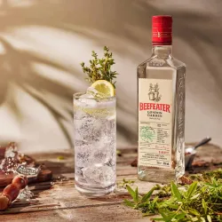 Ginebra Beefeater 