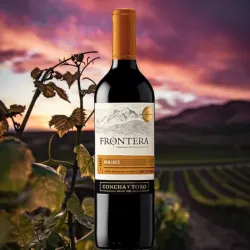 Vino Tinto Frontera 