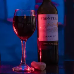 Copa de vino Frontera 