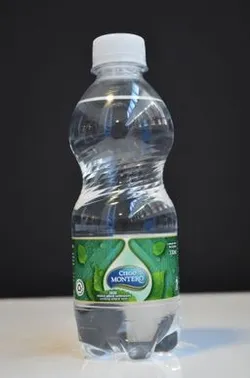 Agua Mineral Natural Carbonatada (330 ml)