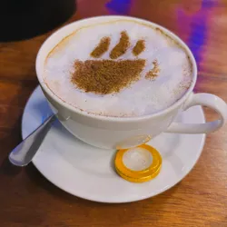 Capuccino 