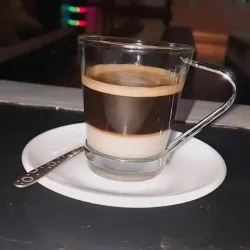 Mulato