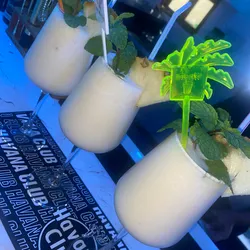 Coctel piña colada