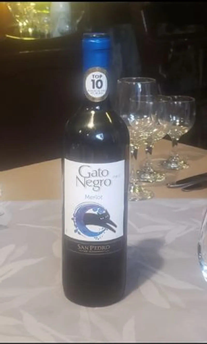 V/T Gato Negro Merlot
