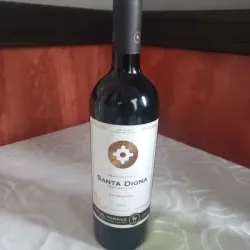 V/T Santa Digna Carmenere