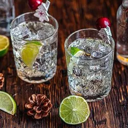 Gin tonic