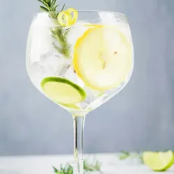 Gin Tonic