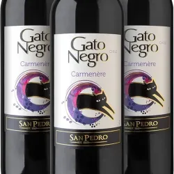 Gato Negro