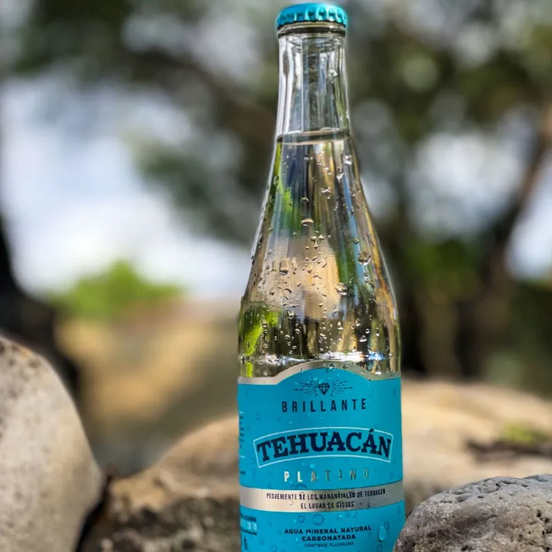 AGUA TEHUACAN 500ML