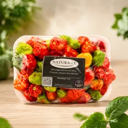 AJI CACHUCHA