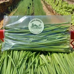 AJO  DE MONTAÑA 150G