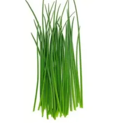 Ajo de montaña 150gr