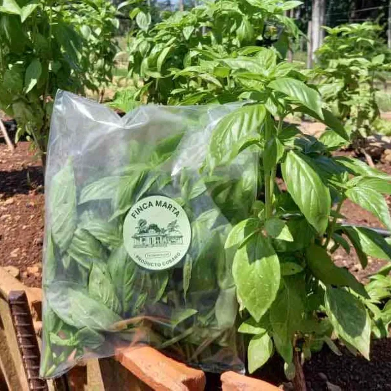 ALBAHACA FRESCA 70G