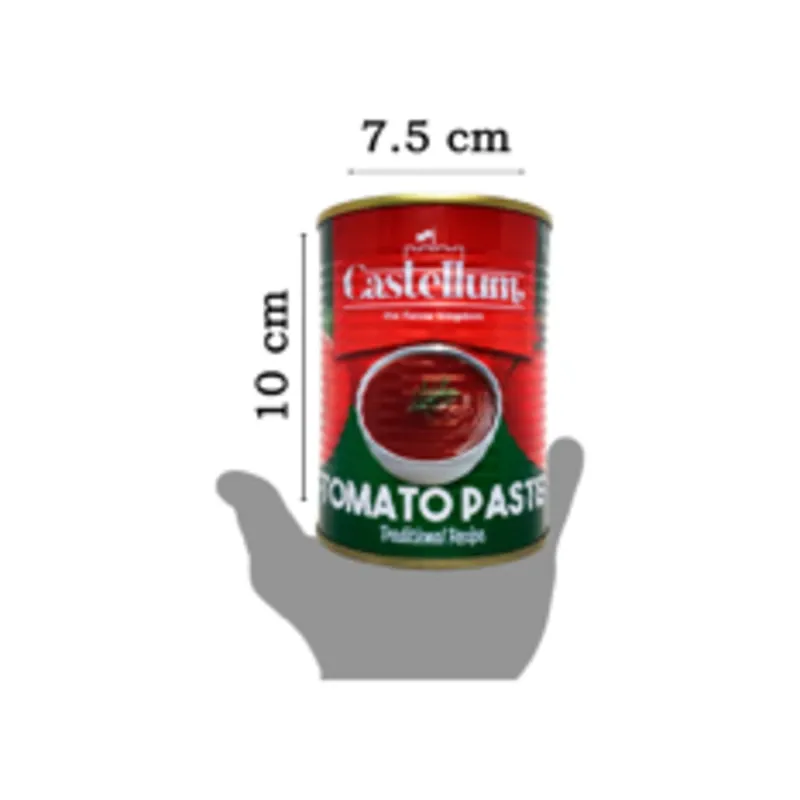 PASTA DE TOMATE 400G
