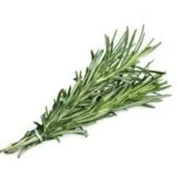 ROMERO FRESCO 25G