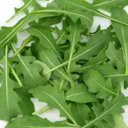 RÚCULA 100G