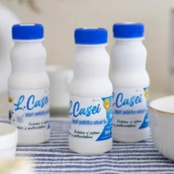 YOGURT CASEI 225ML SANTA ANA