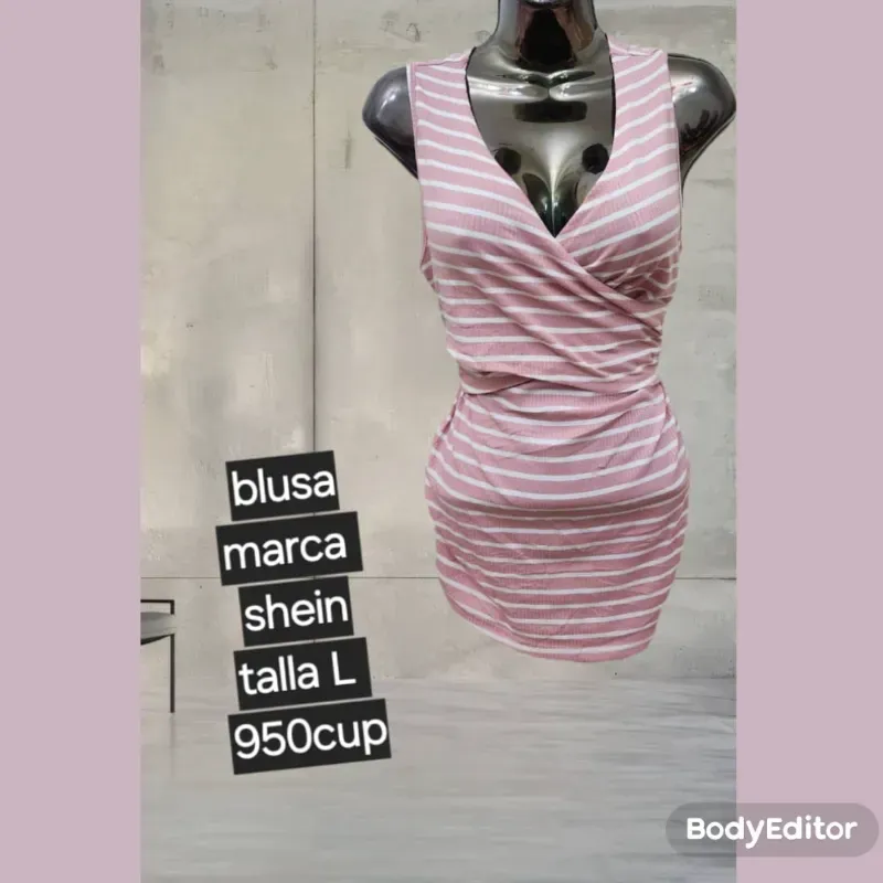 Blusa