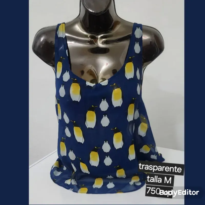 Blusa transparente 