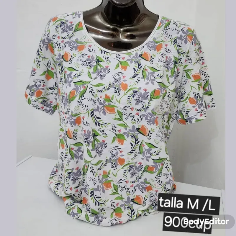 Blusa