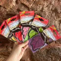 Olores para Carros