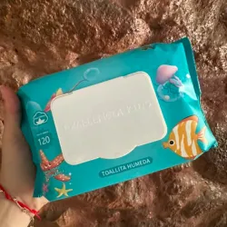 Toallitas húmedas