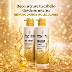 Conjunto de shampoo y acondicionador Pantene