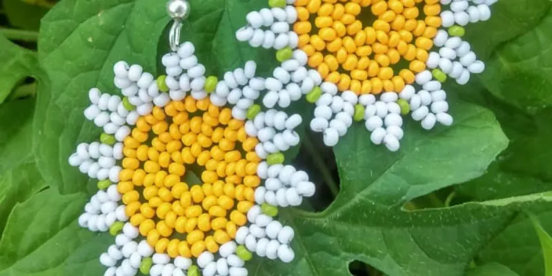 Flores blancas 