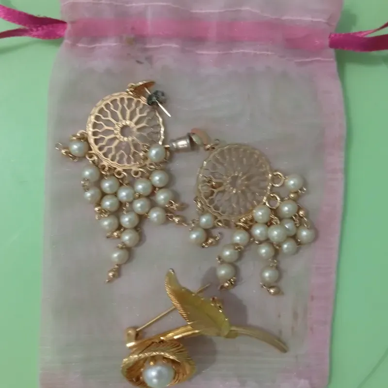 Juego de Aretes con prendedor 