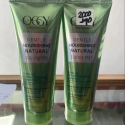 Champú+Acondicionador