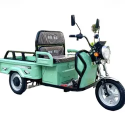 Transporte en triciclo eléctrico