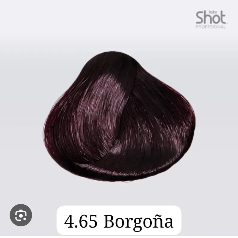 Tinte #4.65 shot