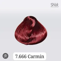 Tinte # 7.666 shot