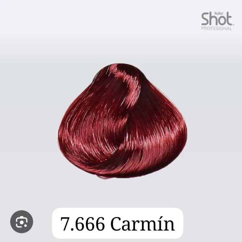 Tinte # 7.666 shot