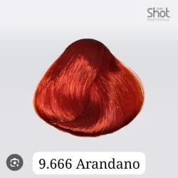 Tinte 9.666 shot
