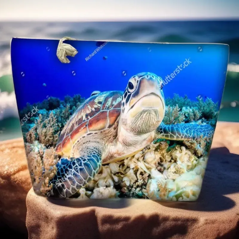 BOLSO DE PLAYA -CON ESTAMPADOS