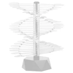 Muestrario (50 pcs)