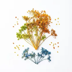 Naturaleza muerta